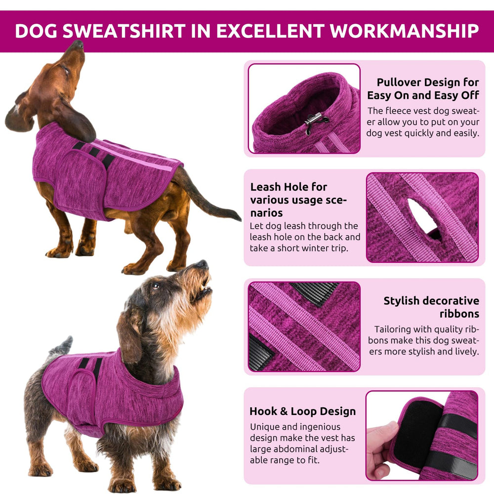 Queenmore dog sweater shows back leash hole for easy outdoor walks.