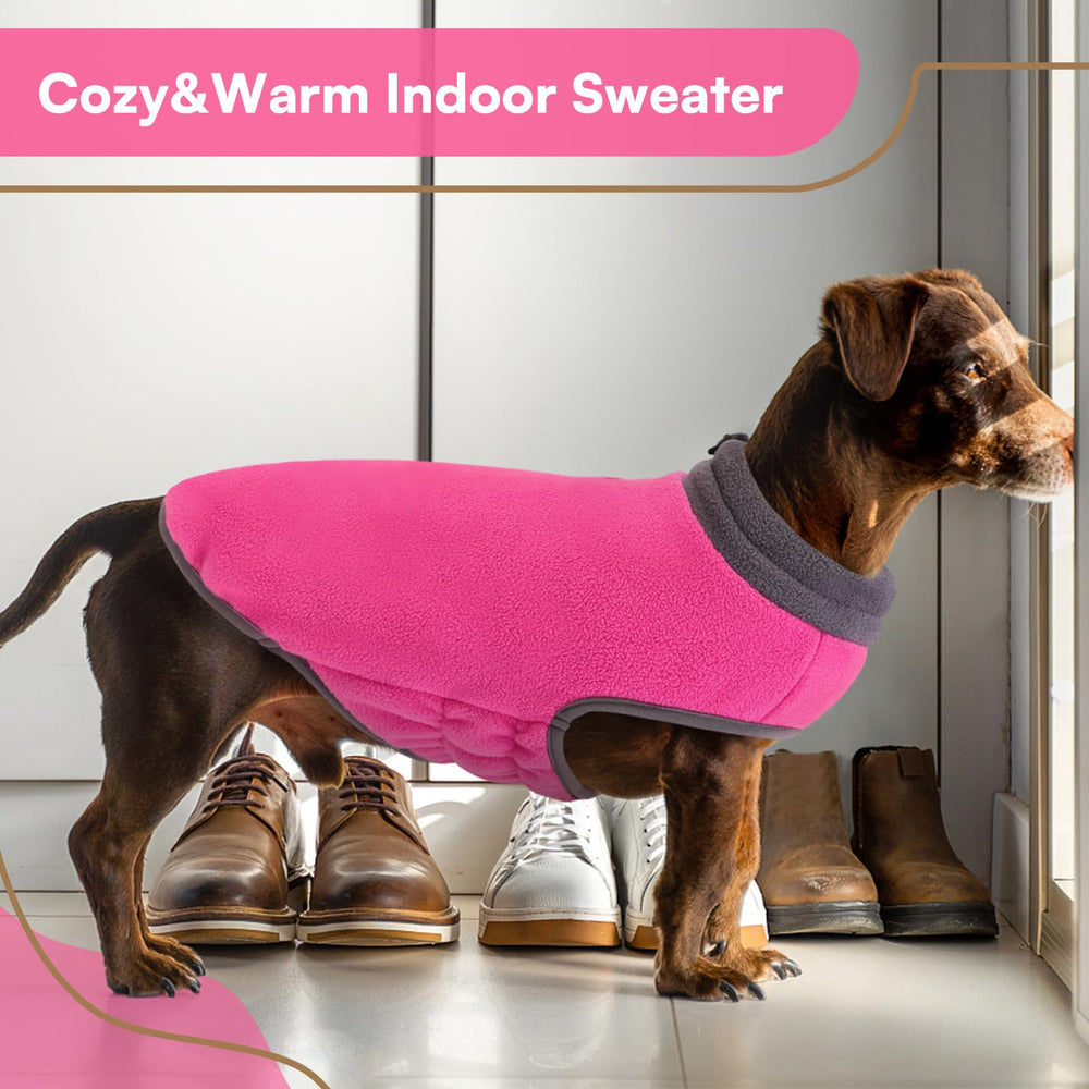 Queenmore dog sweater machine-washable fabric simplifies cleaning after adventures
