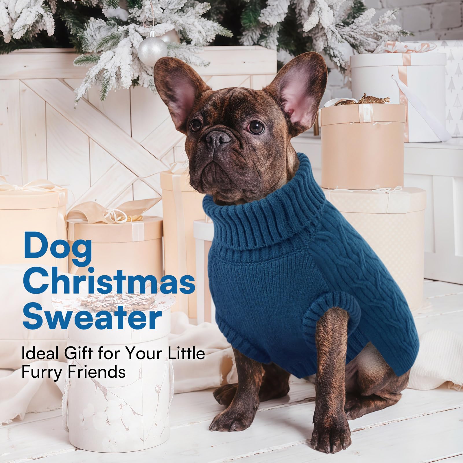 Queenmore model wearing demonstrates versatile, stylish warmth for any dog.