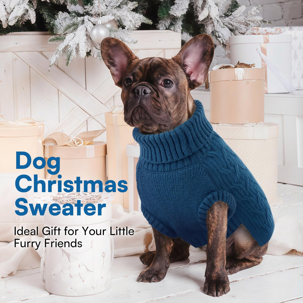 Queenmore model wearing demonstrates versatile, stylish warmth for any dog.