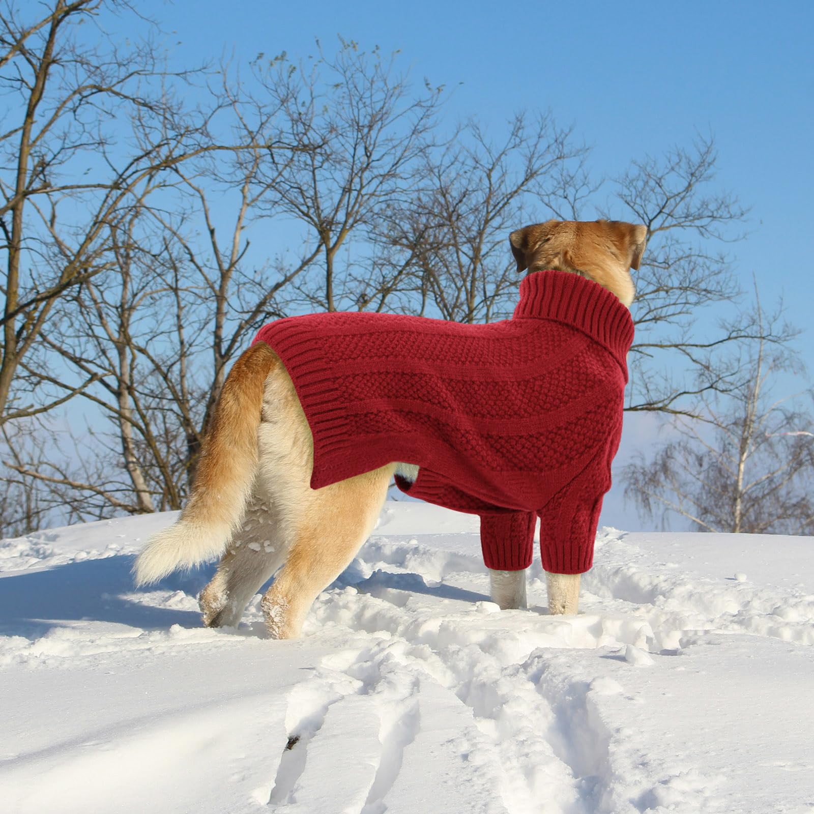 Queenmore dog sweater six sizes chart helps you measure for the right fit.