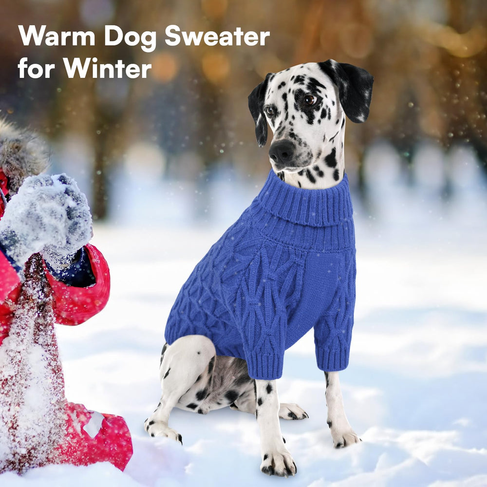 Queenmore royal blue knit on large dog during cold day.