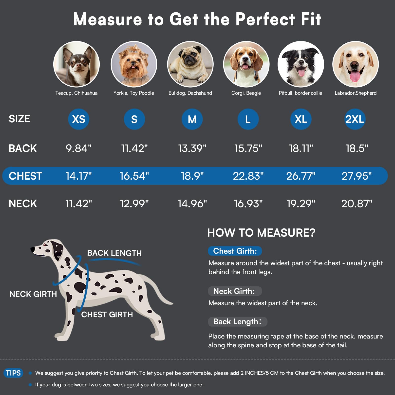 Queenmore blue dog sweater sleeveless cut enables easy wear and unrestricted movement.