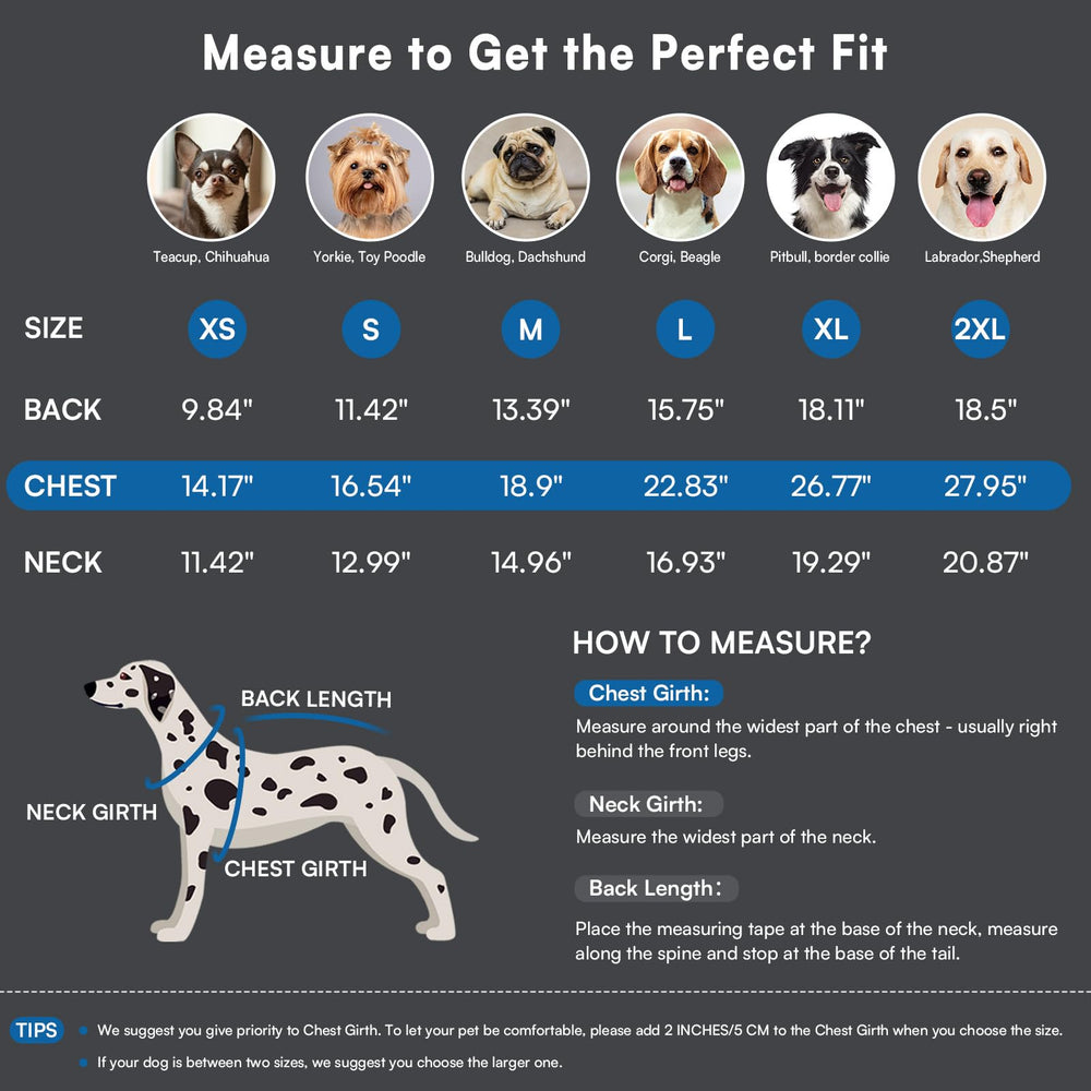 Queenmore blue dog sweater sleeveless cut enables easy wear and unrestricted movement.