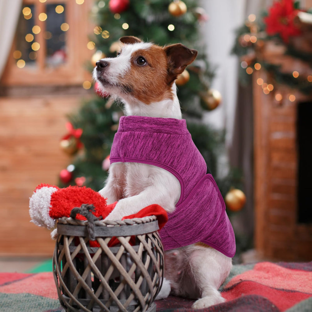 Queenmore dog sweater on model showcases stylish ribbons for festive wear.