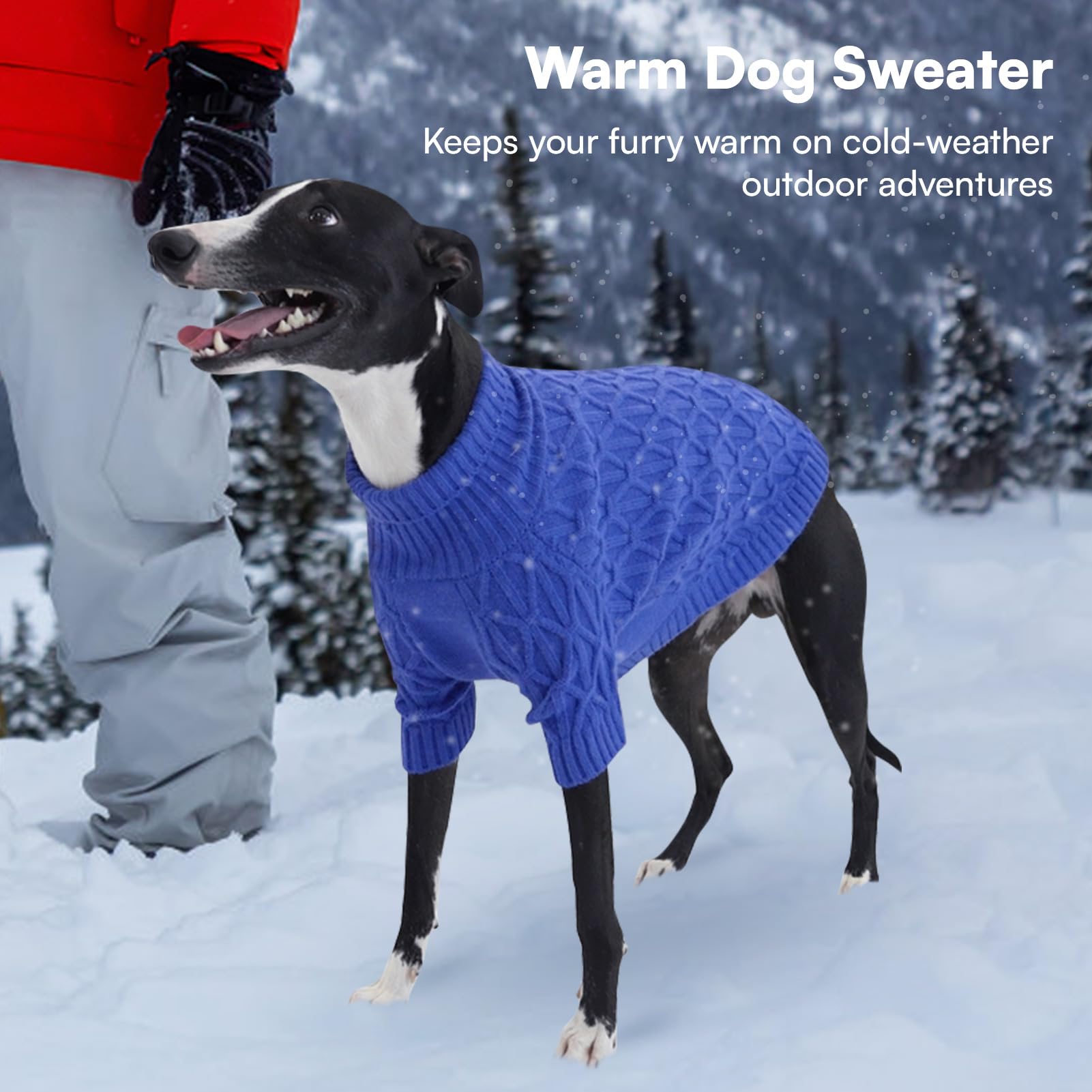 Queenmore large-breed sweater worn during winter outdoor walk.