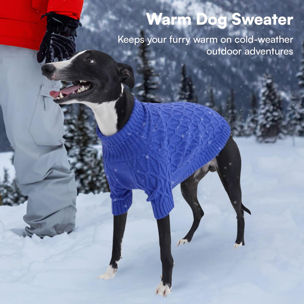 Queenmore large-breed sweater worn during winter outdoor walk.
