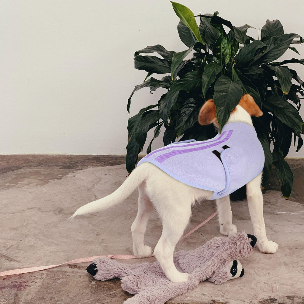 Queenmore dog sweater ready for winter with comfy, durable fabric