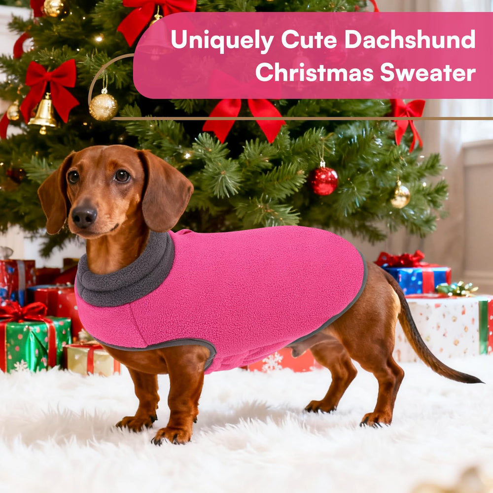 Queenmore dog sweater warm winter coat keeps dogs cozy on chilly strolls