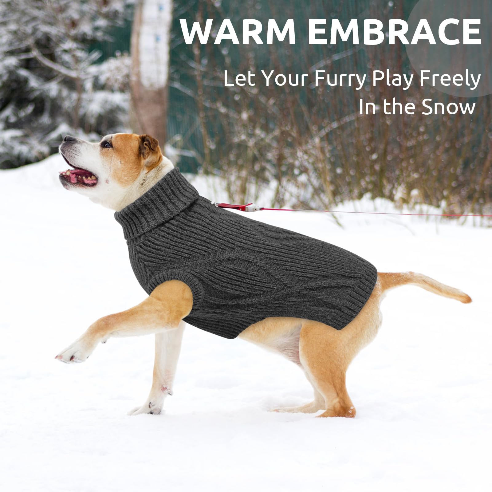 Queenmore XL dog sweater on active dog illustrates non-restrictive mobility during play.