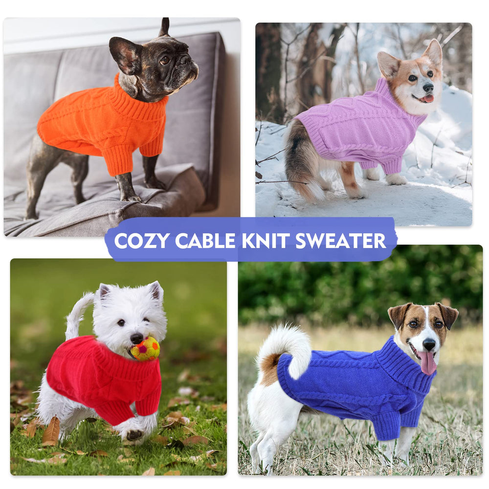 Queenmore dog wearing sweater on Chihuahua showcases easy-care design