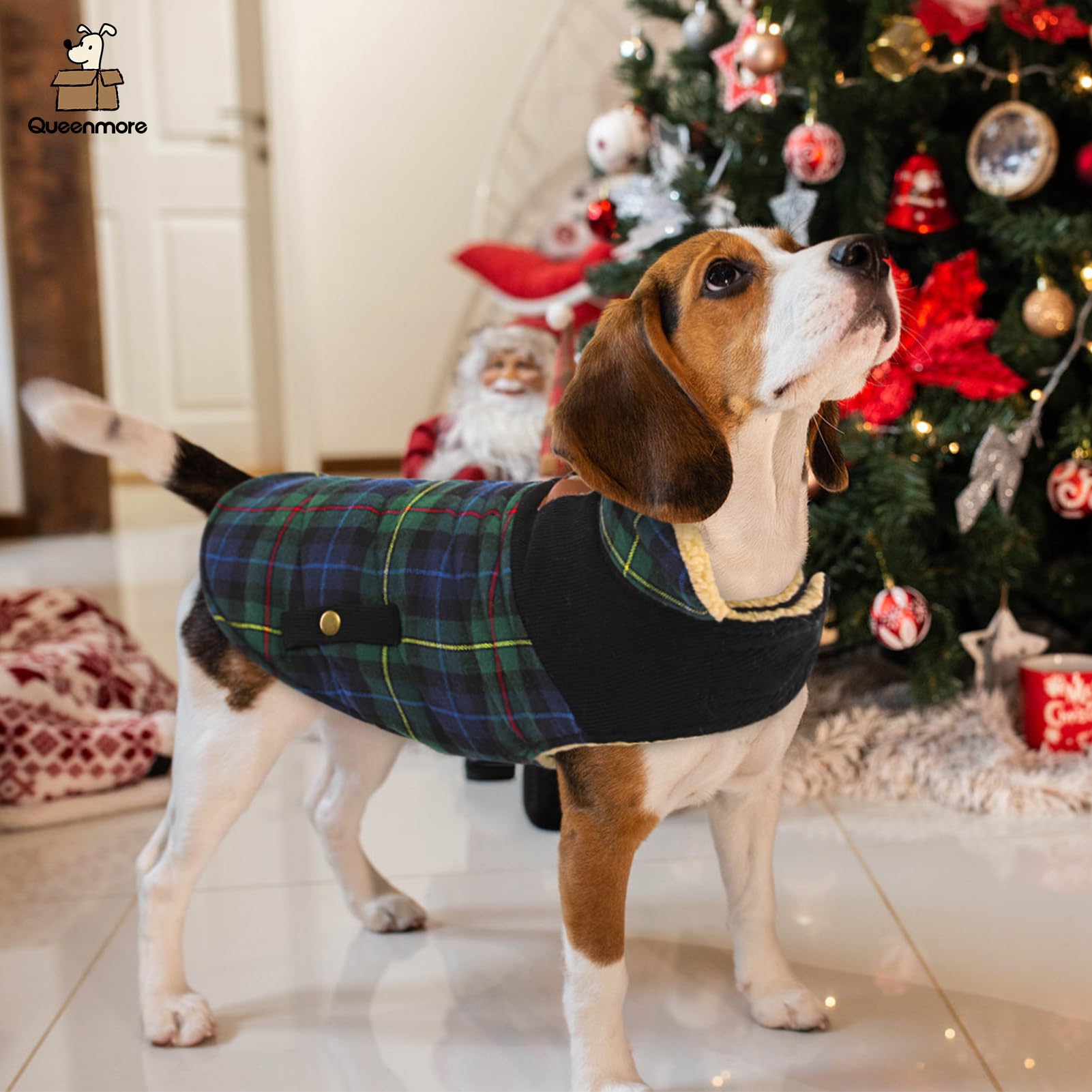 Queenmore dog winter coat back view highlights convenient storage pockets