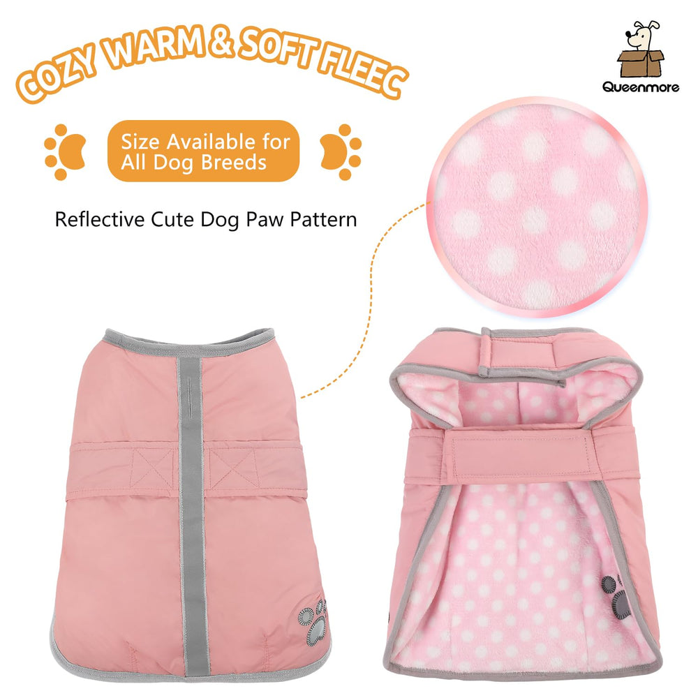 Queenmore dog winter coat back view highlighting full coverage and secure fit