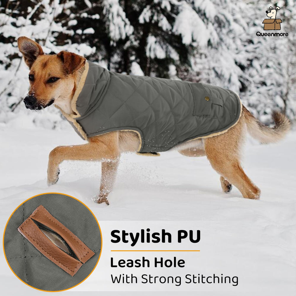 Queenmore dog winter coat collar detail showing plush interior warmth.