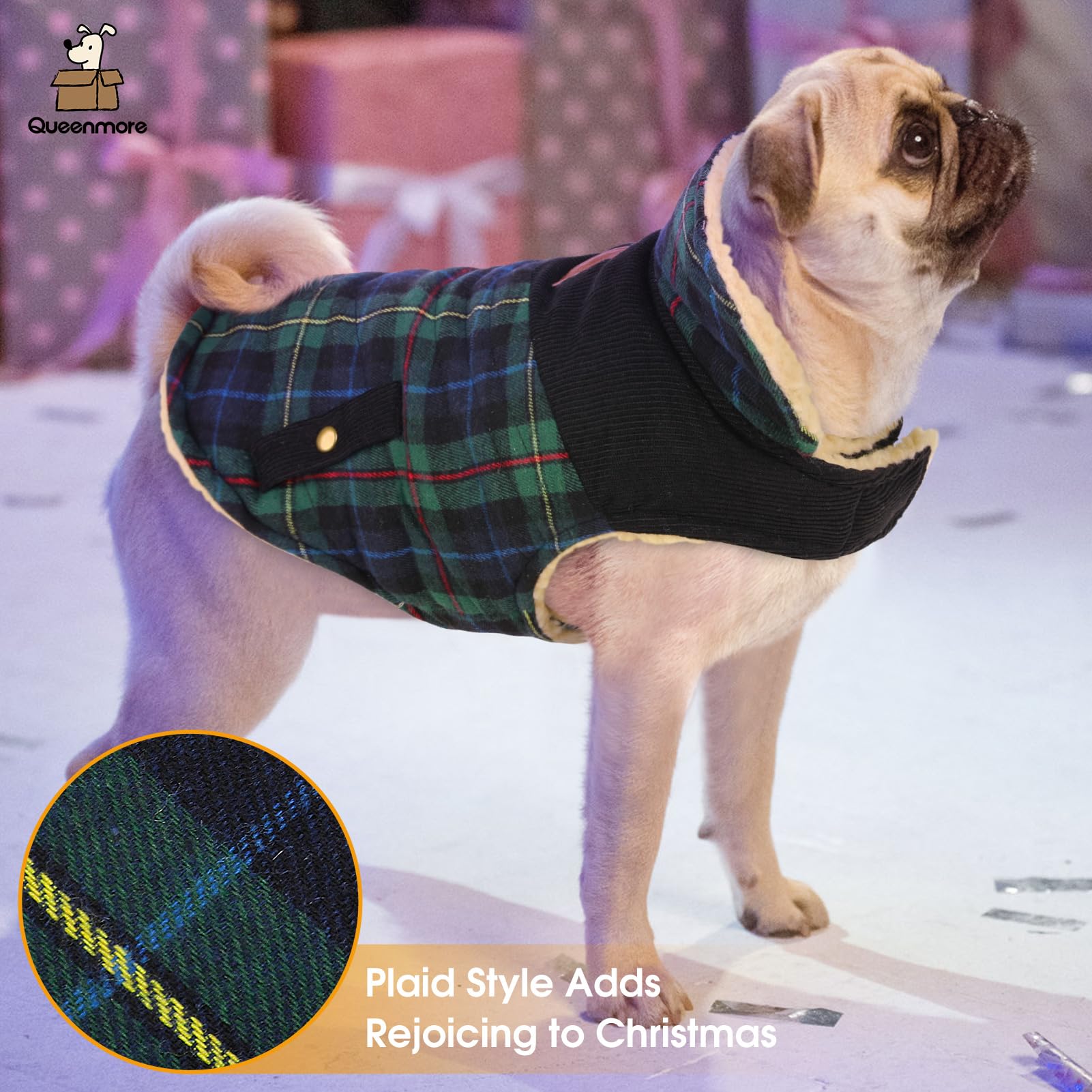 Queenmore dog winter coat collar detail shows wind protection option