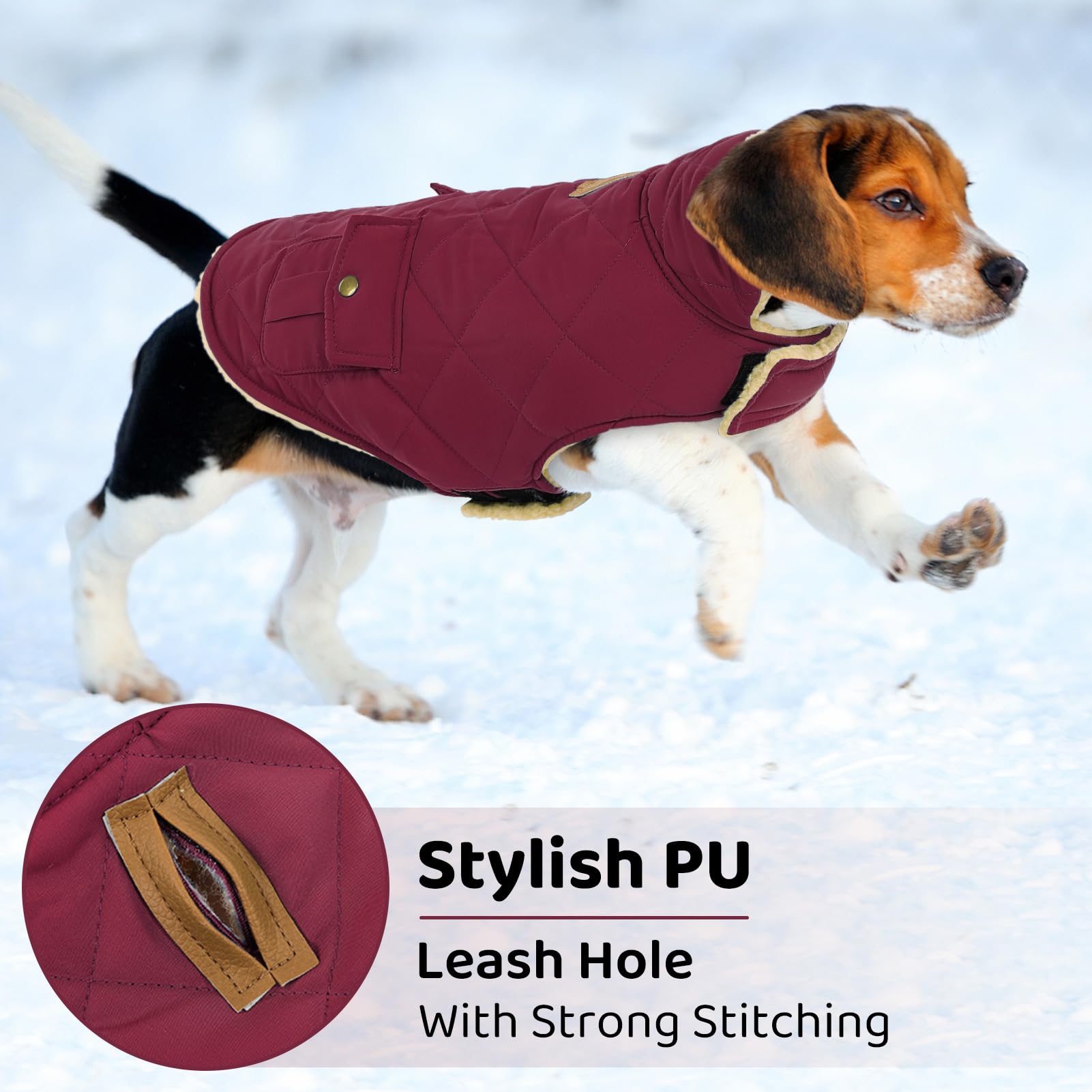 Queenmore dog winter coat collar down reveals plush lining for cozy styling.