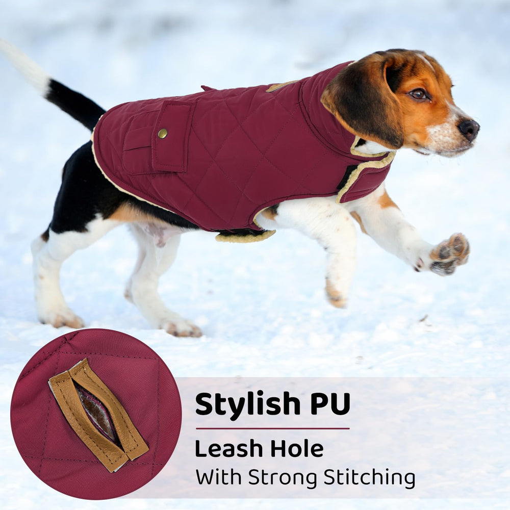 Queenmore dog winter coat collar down shows beige sherpa warmth and style.