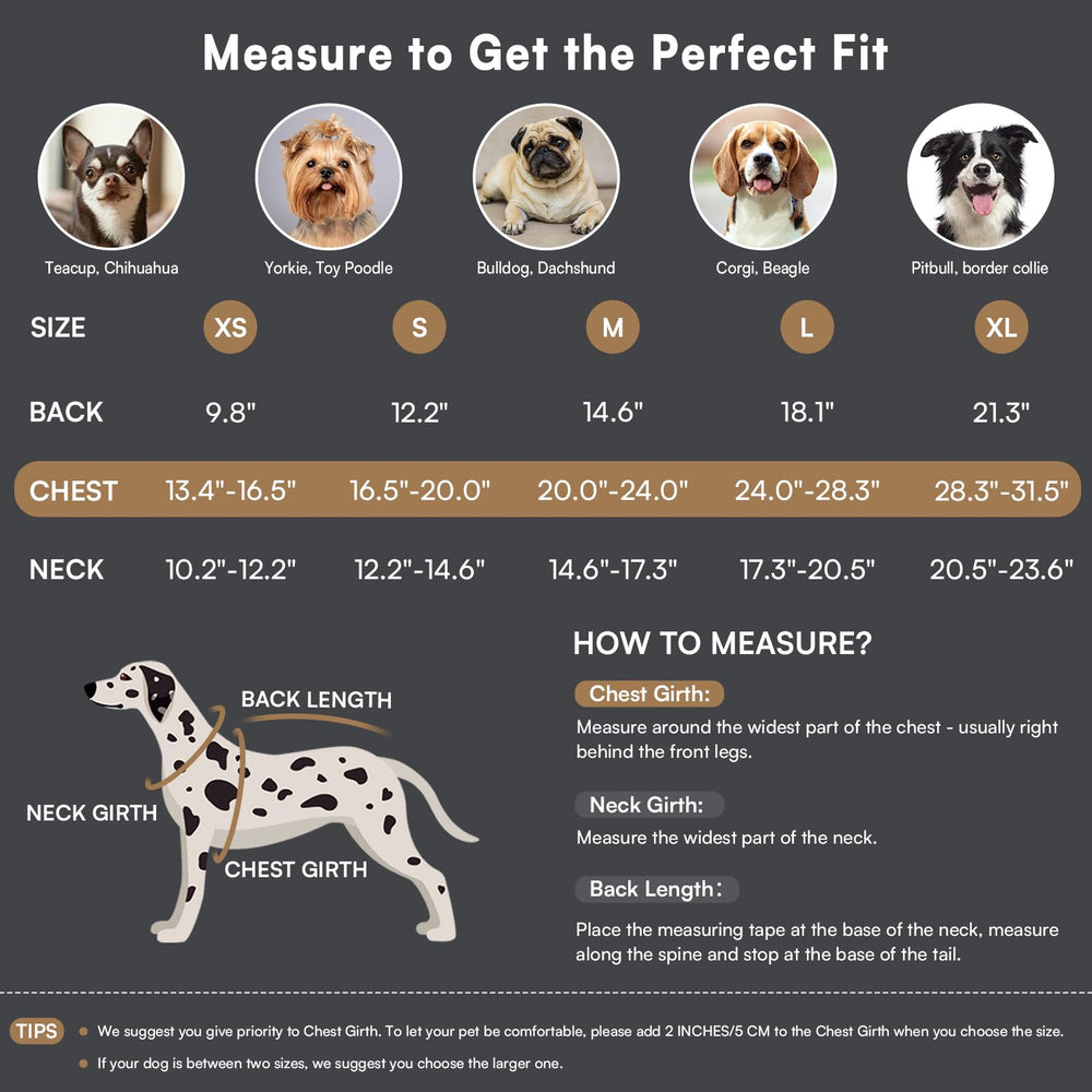 Queenmore dog winter coat turn-down collar reveals plush lining for warmth