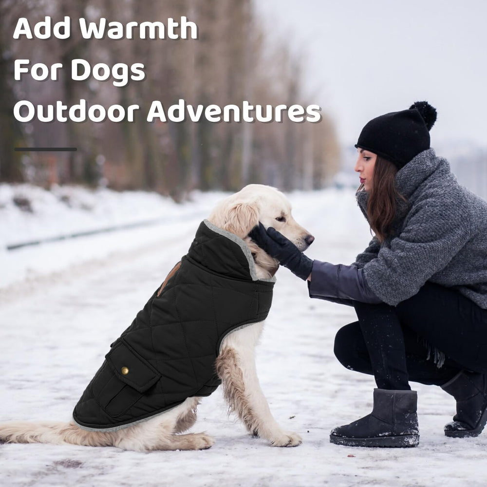 Queenmore dog winter coat easy-on design for quick, stress-free dressing.