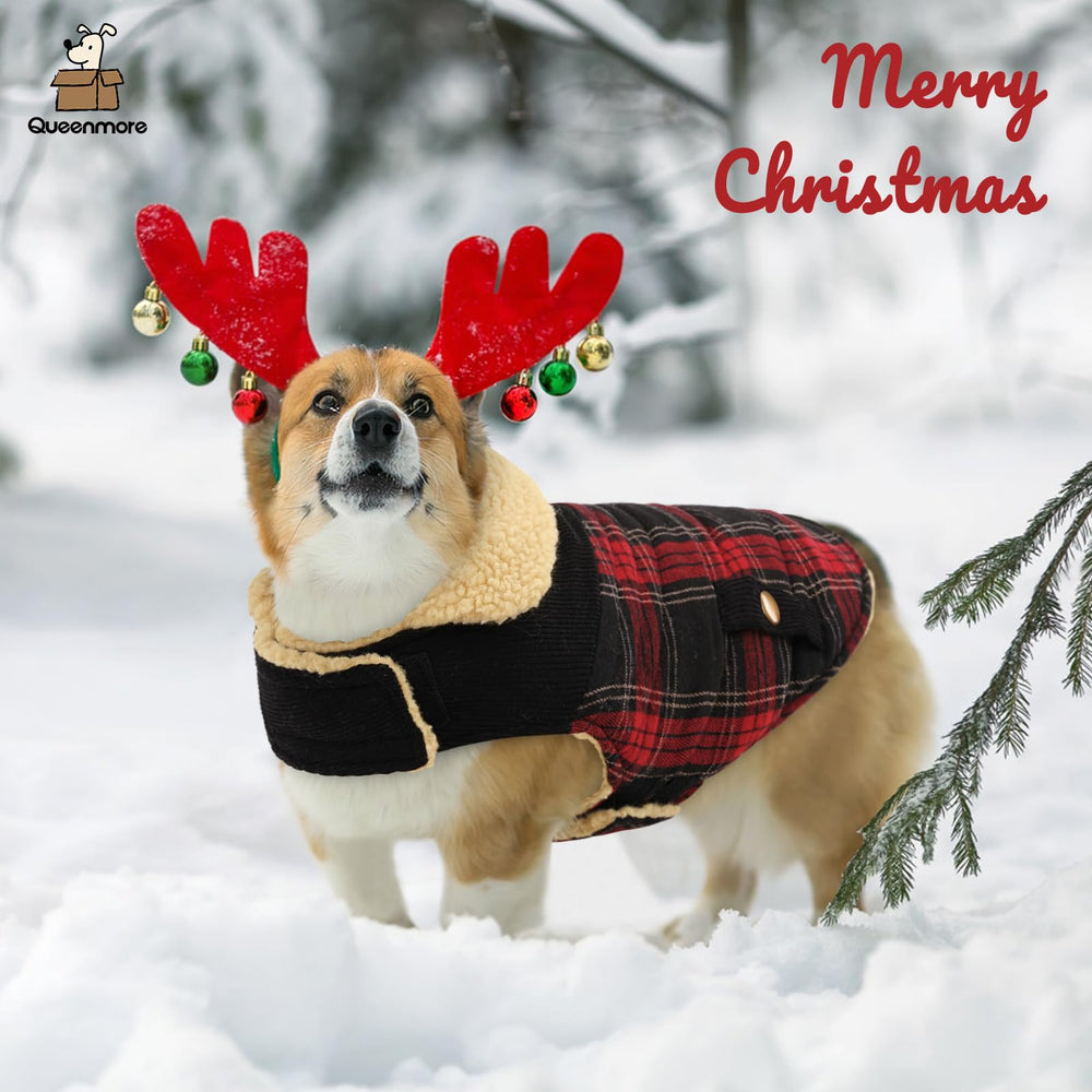 Queenmore dog winter coat festive snow scene blends style with practical warmth