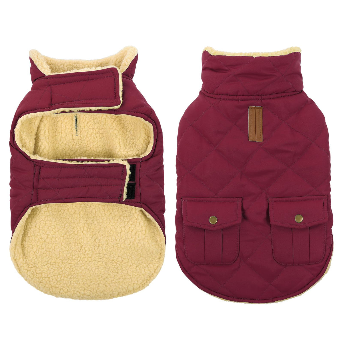 Queenmore dog winter coat front view demonstrates warm, windproof protection for cold walks.