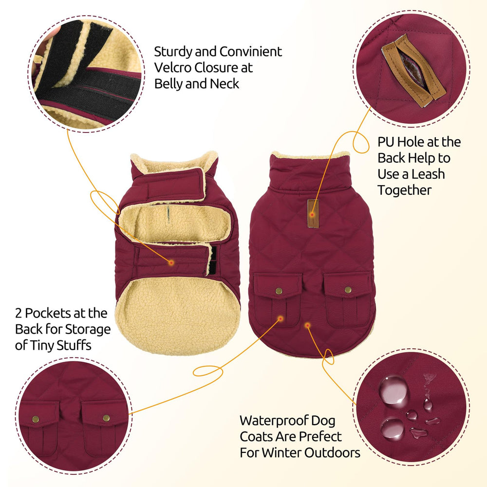 Queenmore dog winter coat leash hole enables secure walks with your pet.