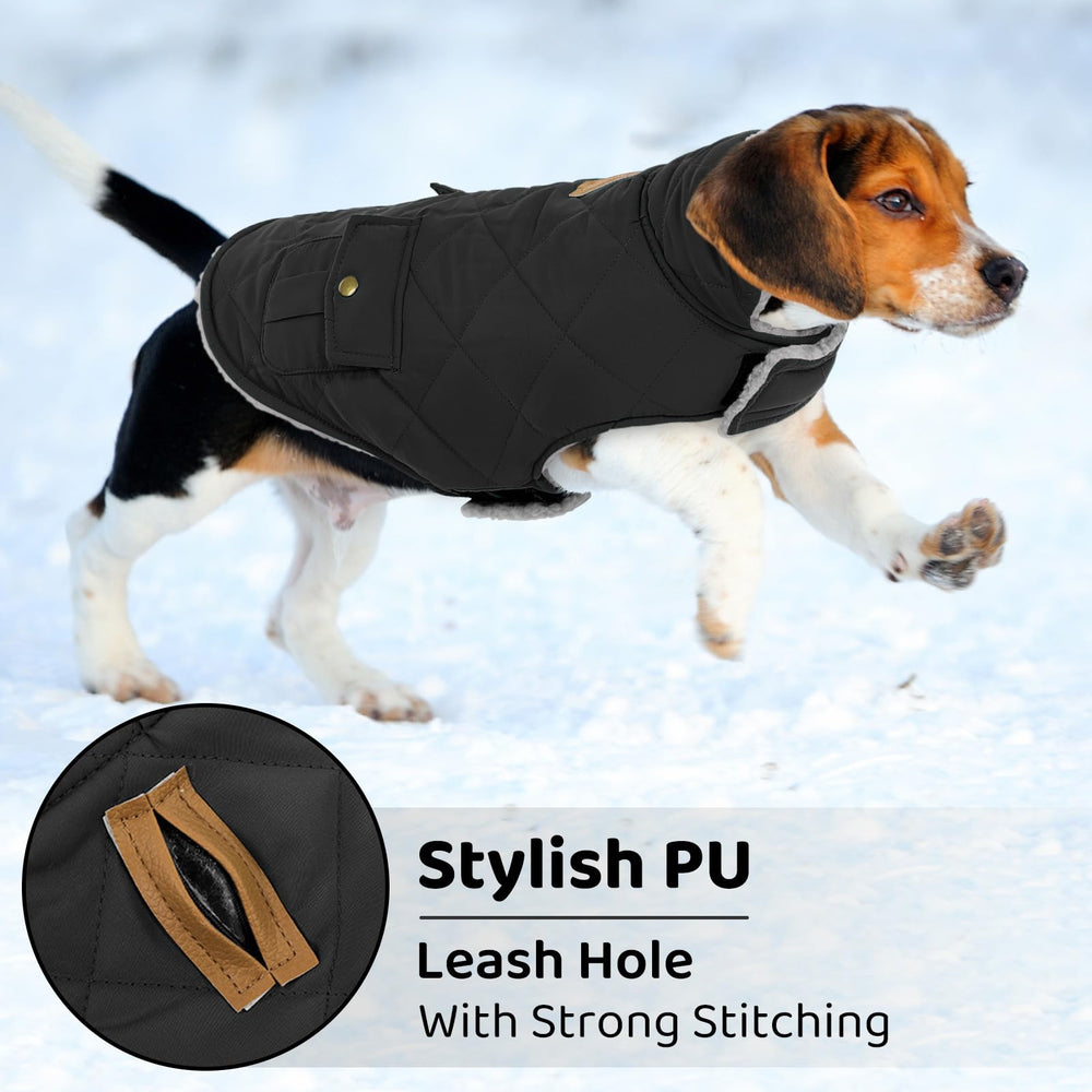 Queenmore dog winter coat leash-hole closeup shows easy leash integration