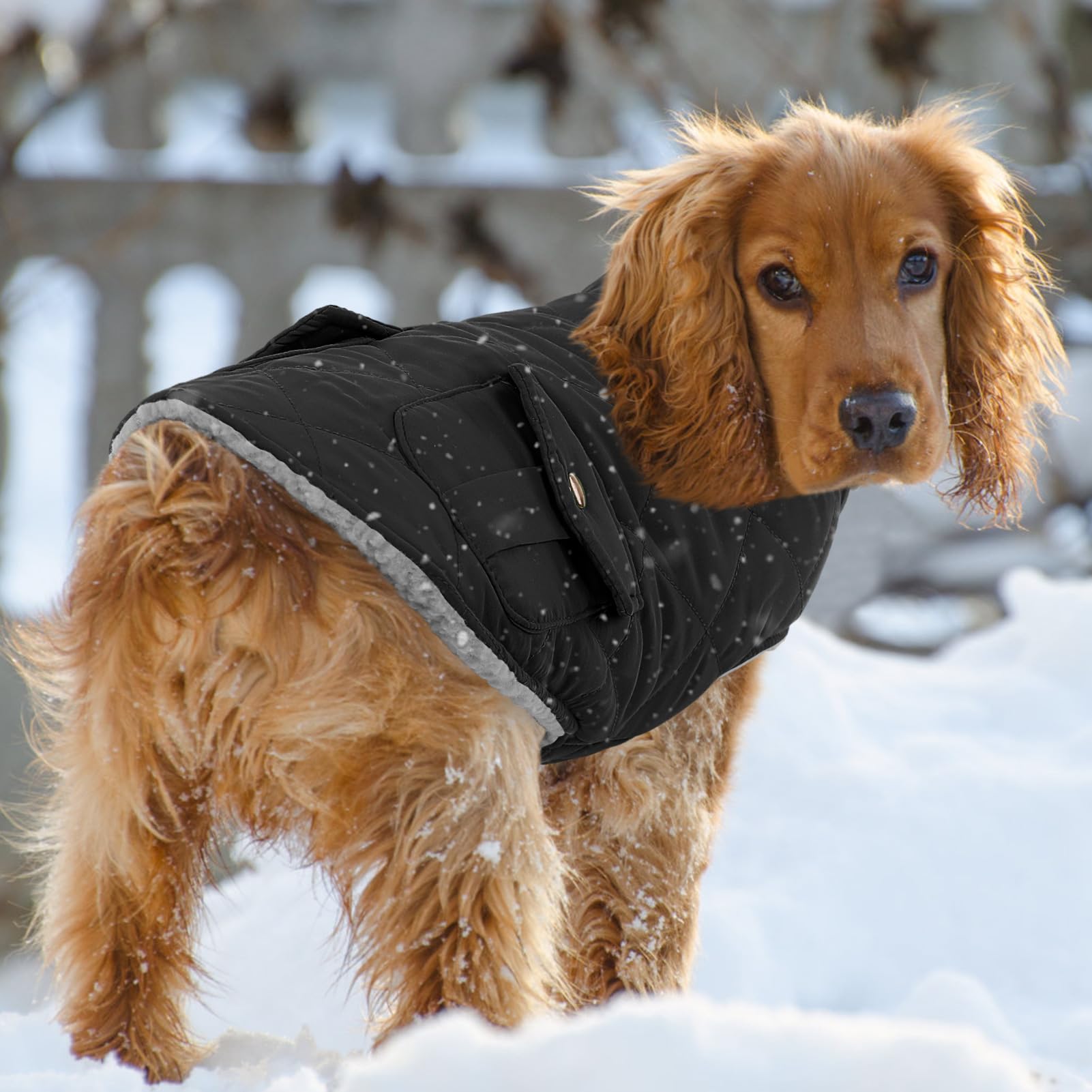 Queenmore dog winter coat material closeup reveals warm quilted shell and sherpa lining