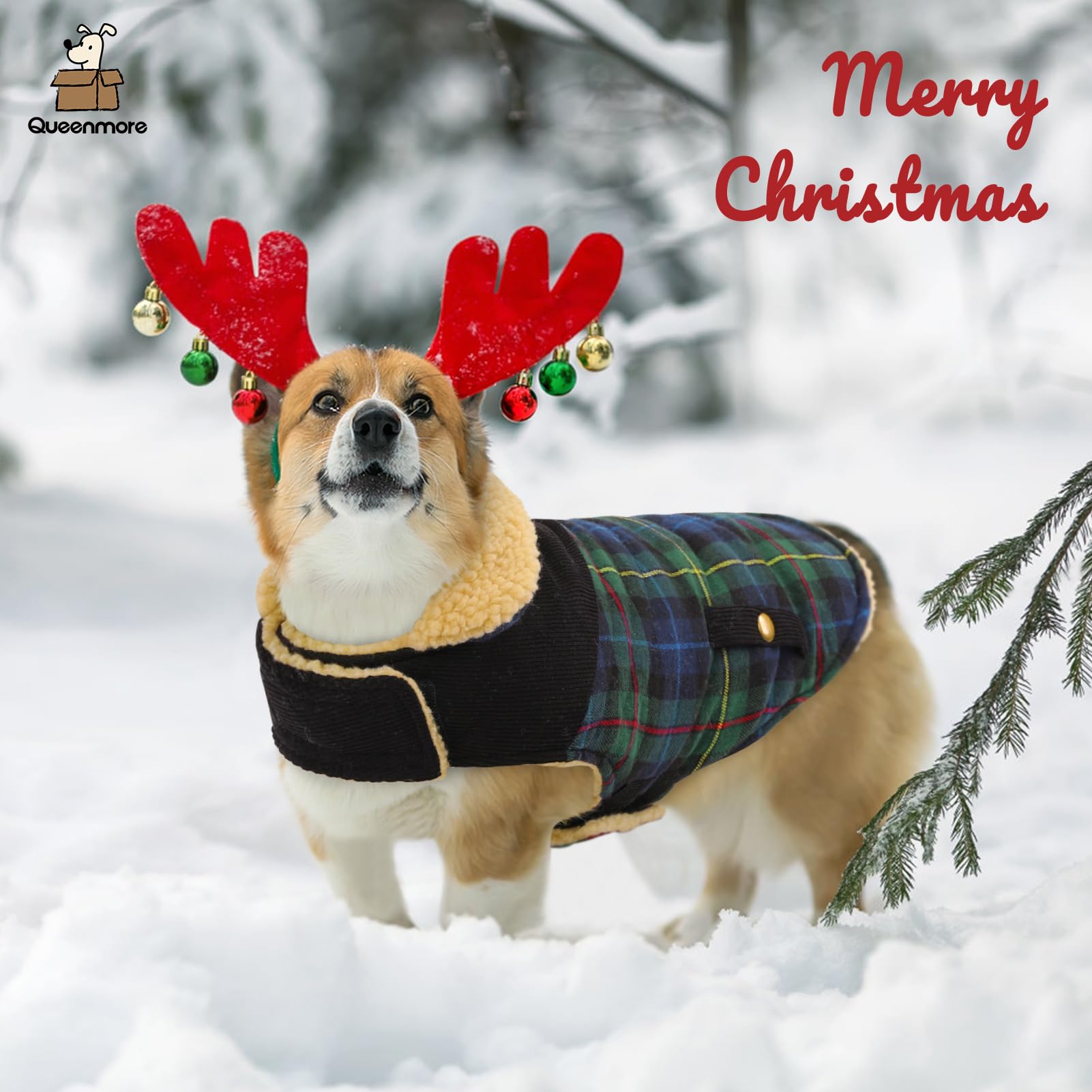 Queenmore dog winter coat on model demonstrates versatile cold-weather wear.
