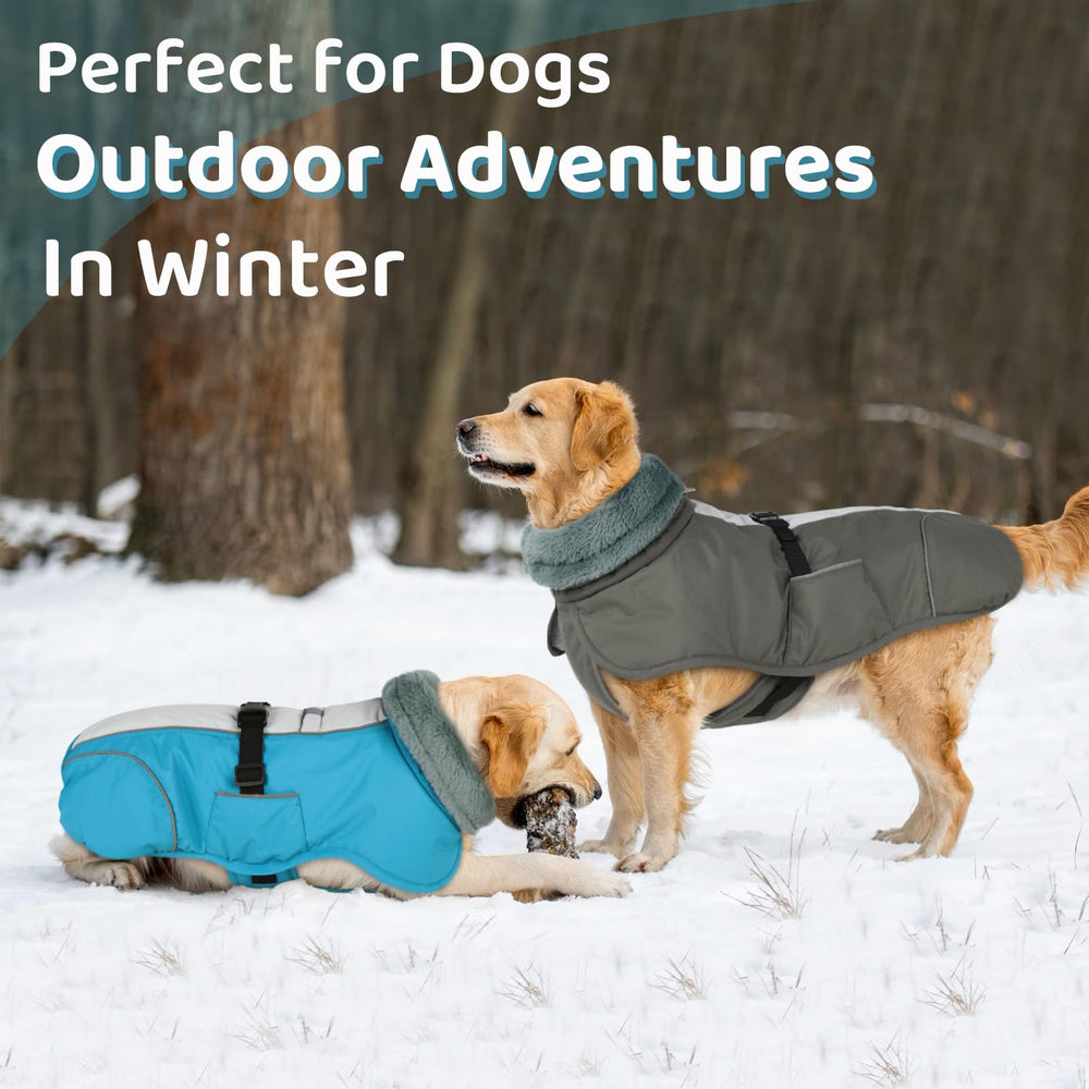 Queenmore dog winter coat ideal for outdoor activities grey, keeps dogs dry and comfortable