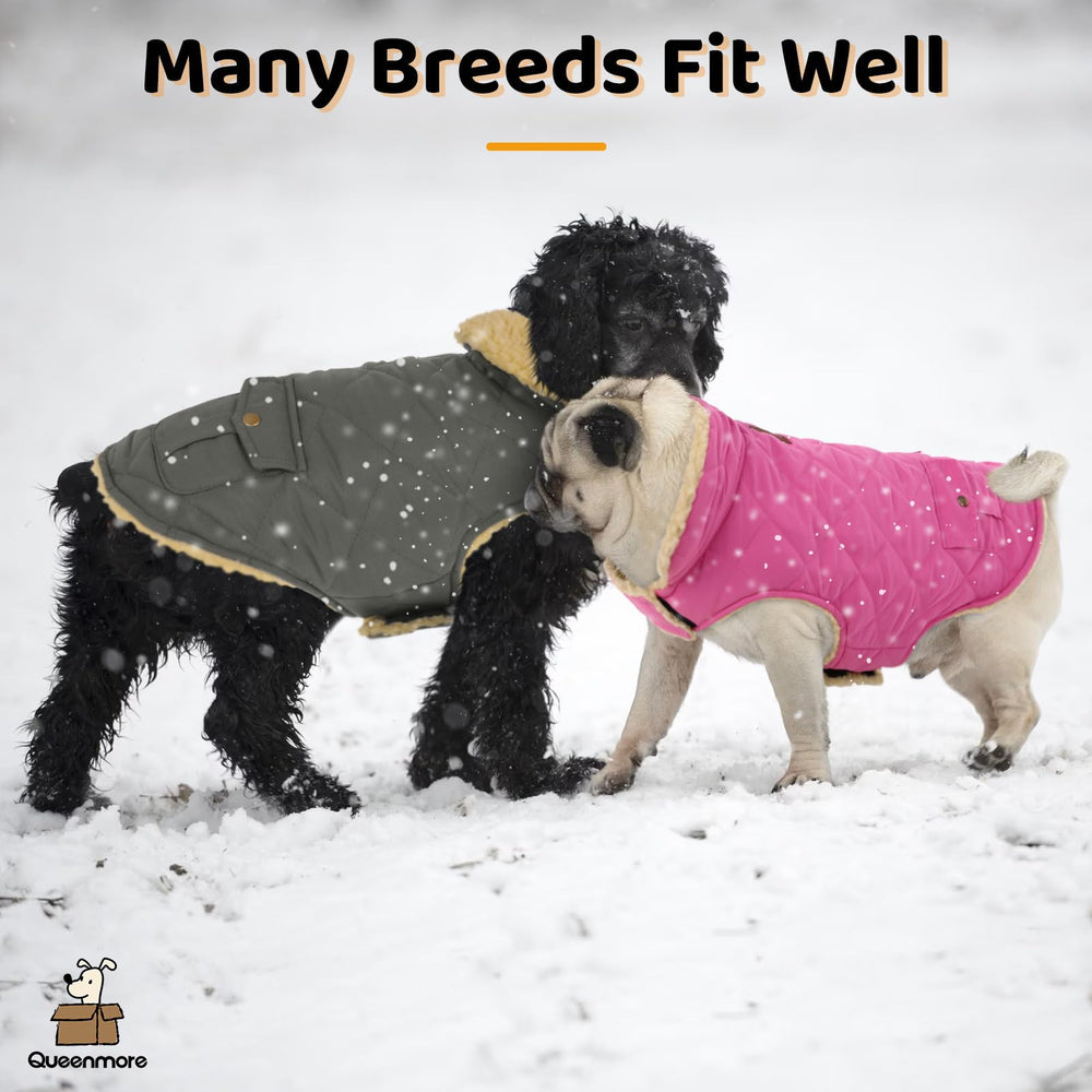 Queenmore dog winter coat pink on-dog look showcases stylish warmth in cold weather