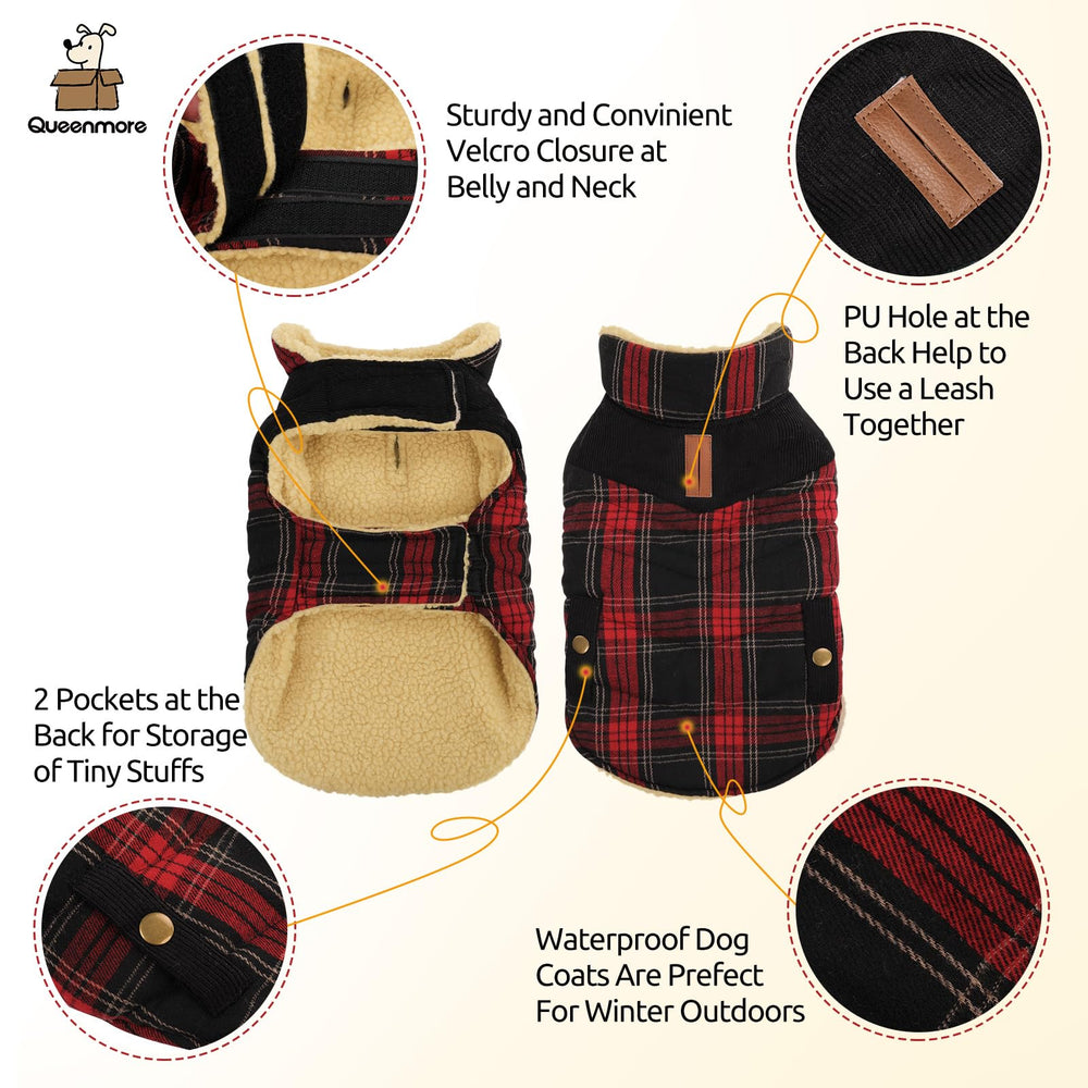 Queenmore dog winter coat plaid-detail shows stylish holiday vibe for photos