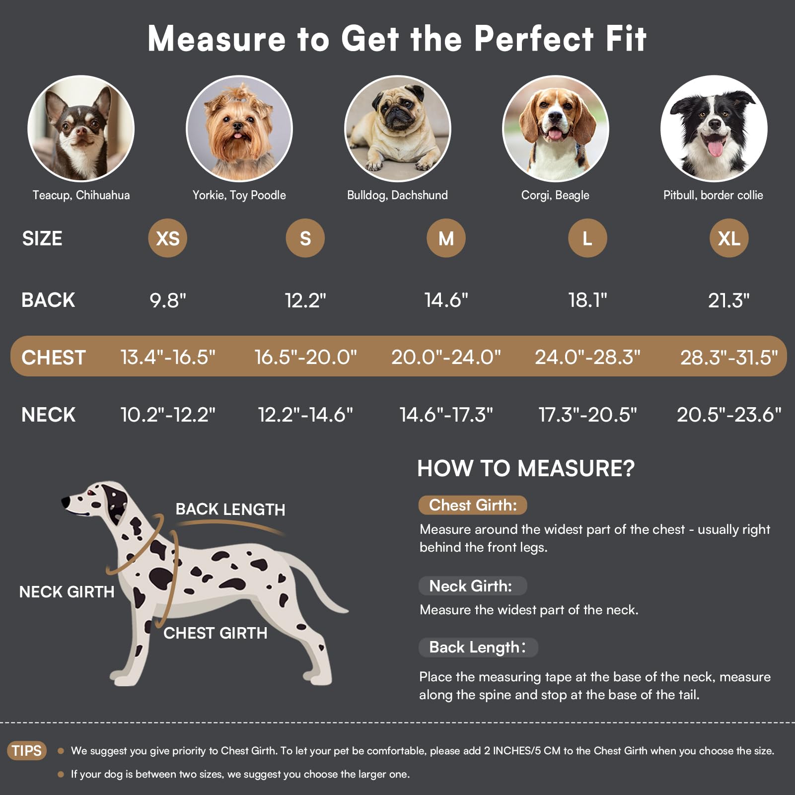 Queenmore dog winter coat plaid style adds festive holiday style for dogs.