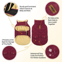 Queenmore dog winter coat plush lining close-up reveals soft warmth for cozy lounging.