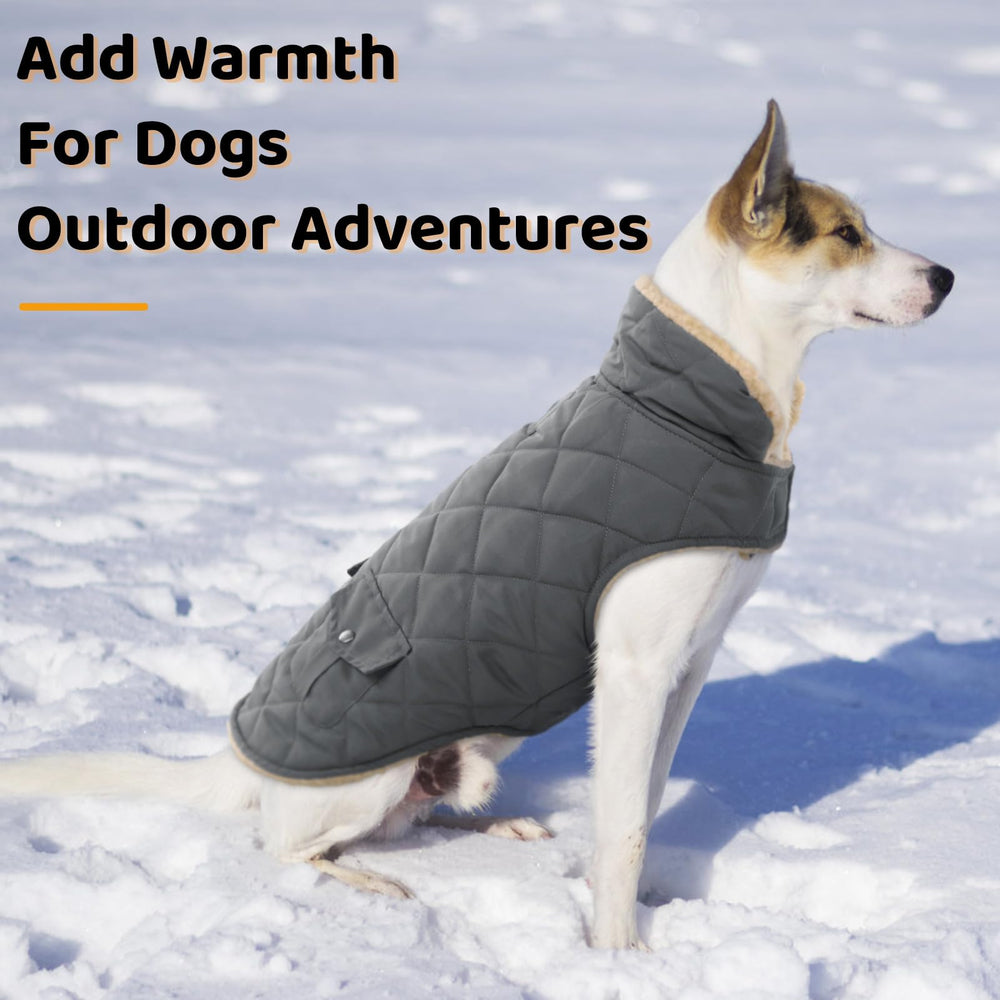 Queenmore dog winter coat pocket storage illustrating snack and leash space.