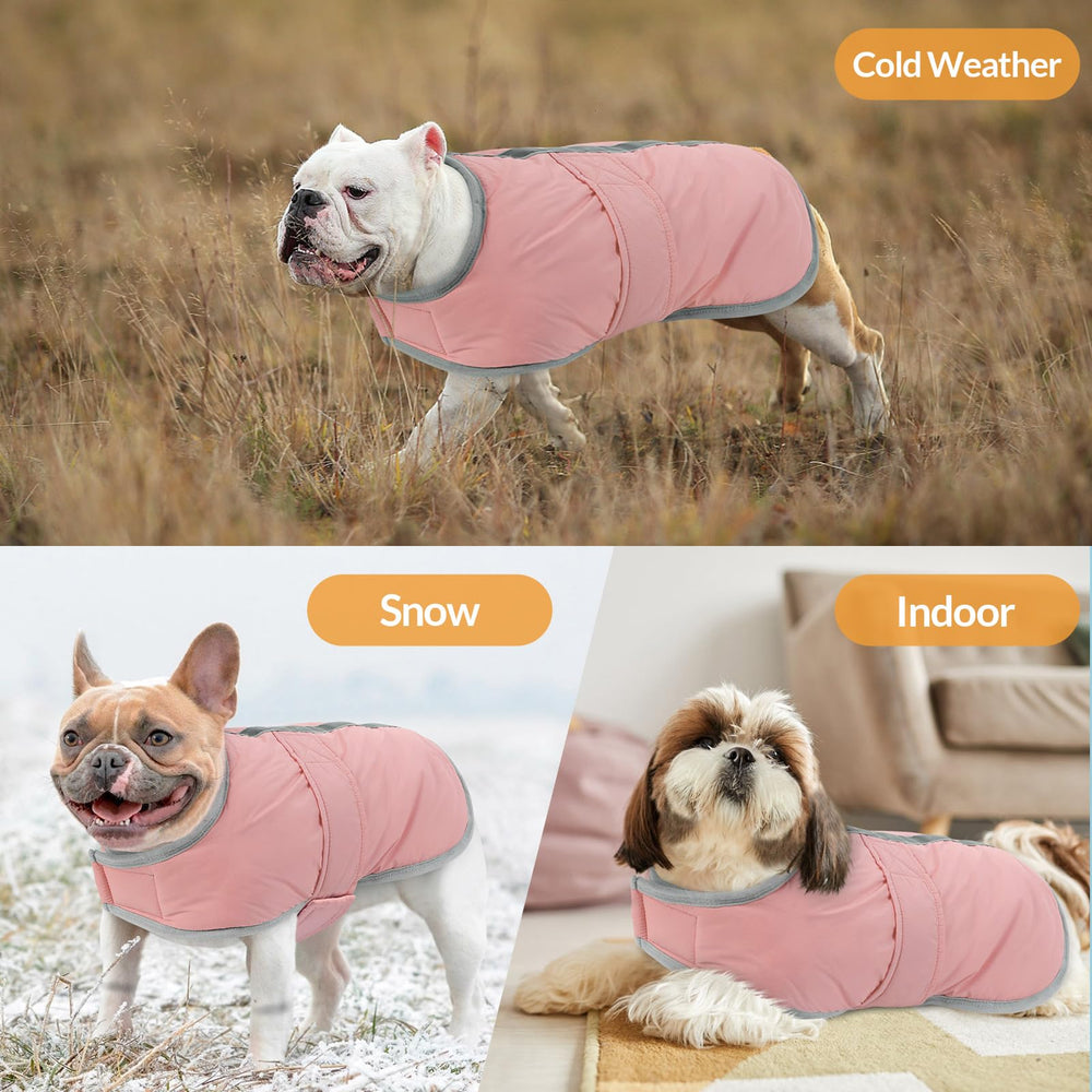 Queenmore dog winter coat reversible colors demonstrating versatile styling options