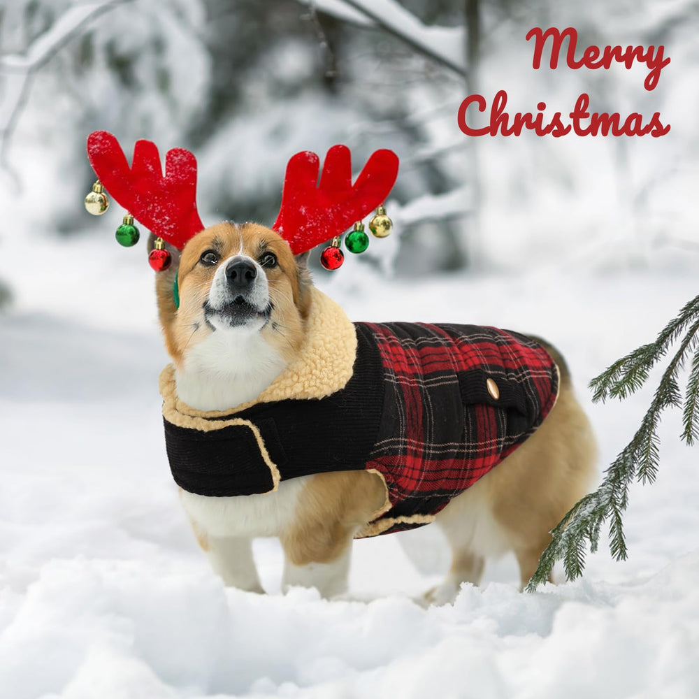 Queenmore dog winter coat size chart helps pick the right fit.