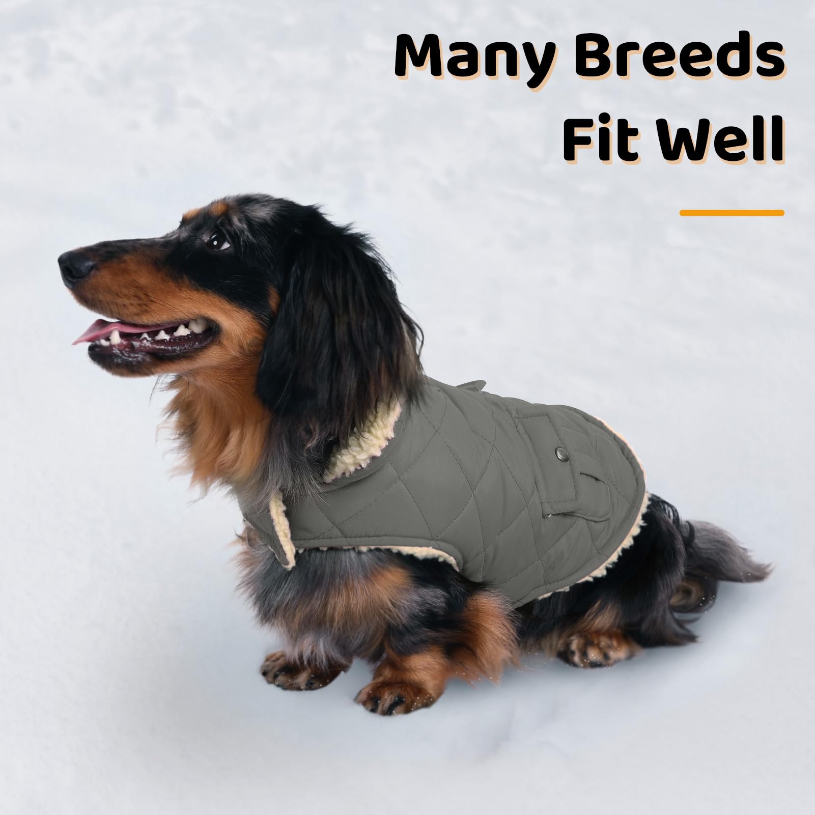 Queenmore dog winter coat size chart helps buyers pick the right fit.
