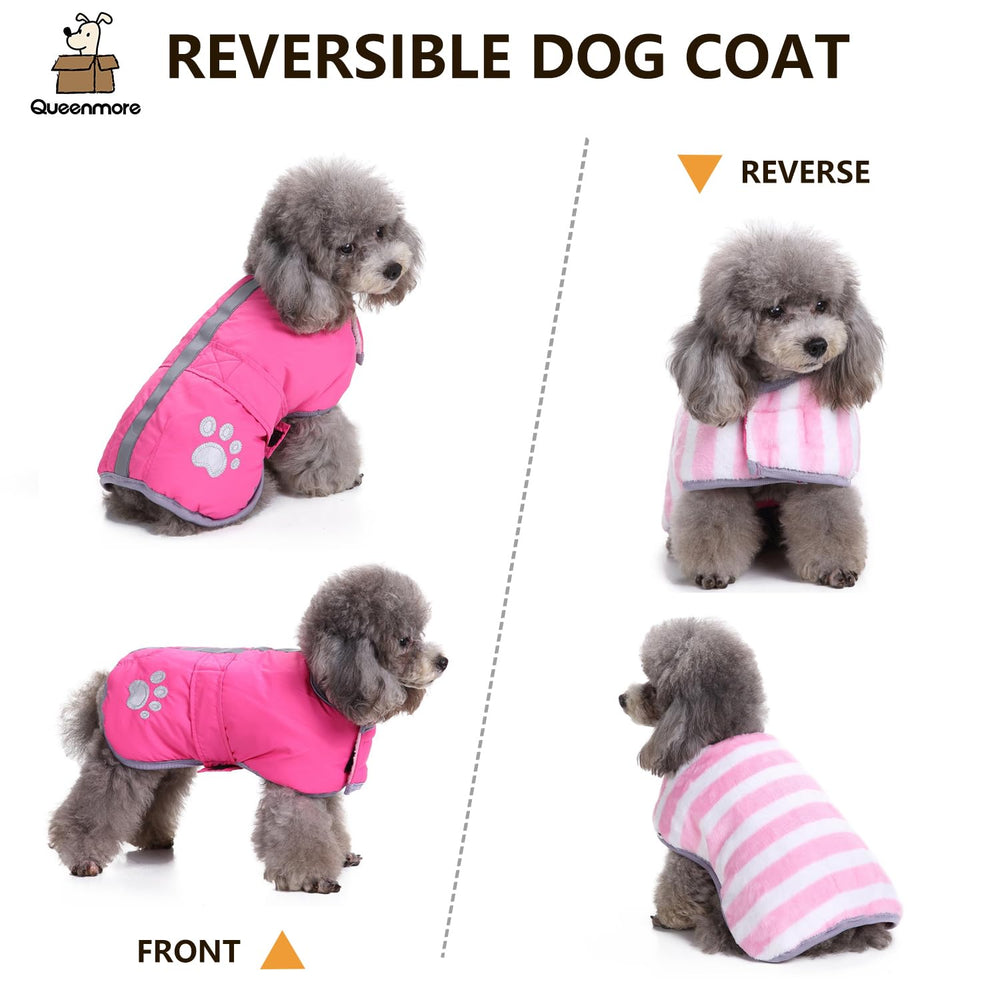 Queenmore size range dog coat size chart shows XS to XL options.