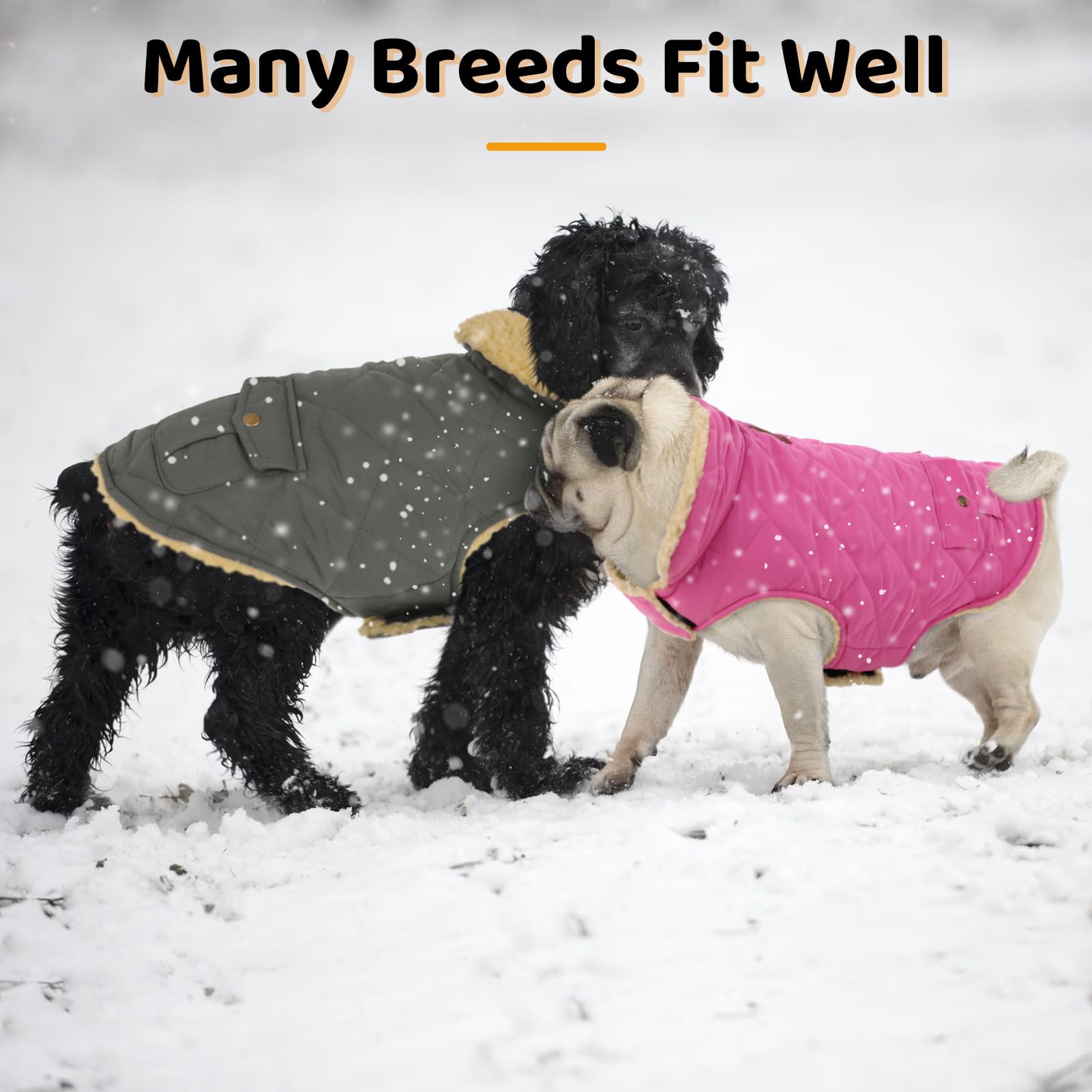 Queenmore dog winter coat size chart view helps pick the right XS fit