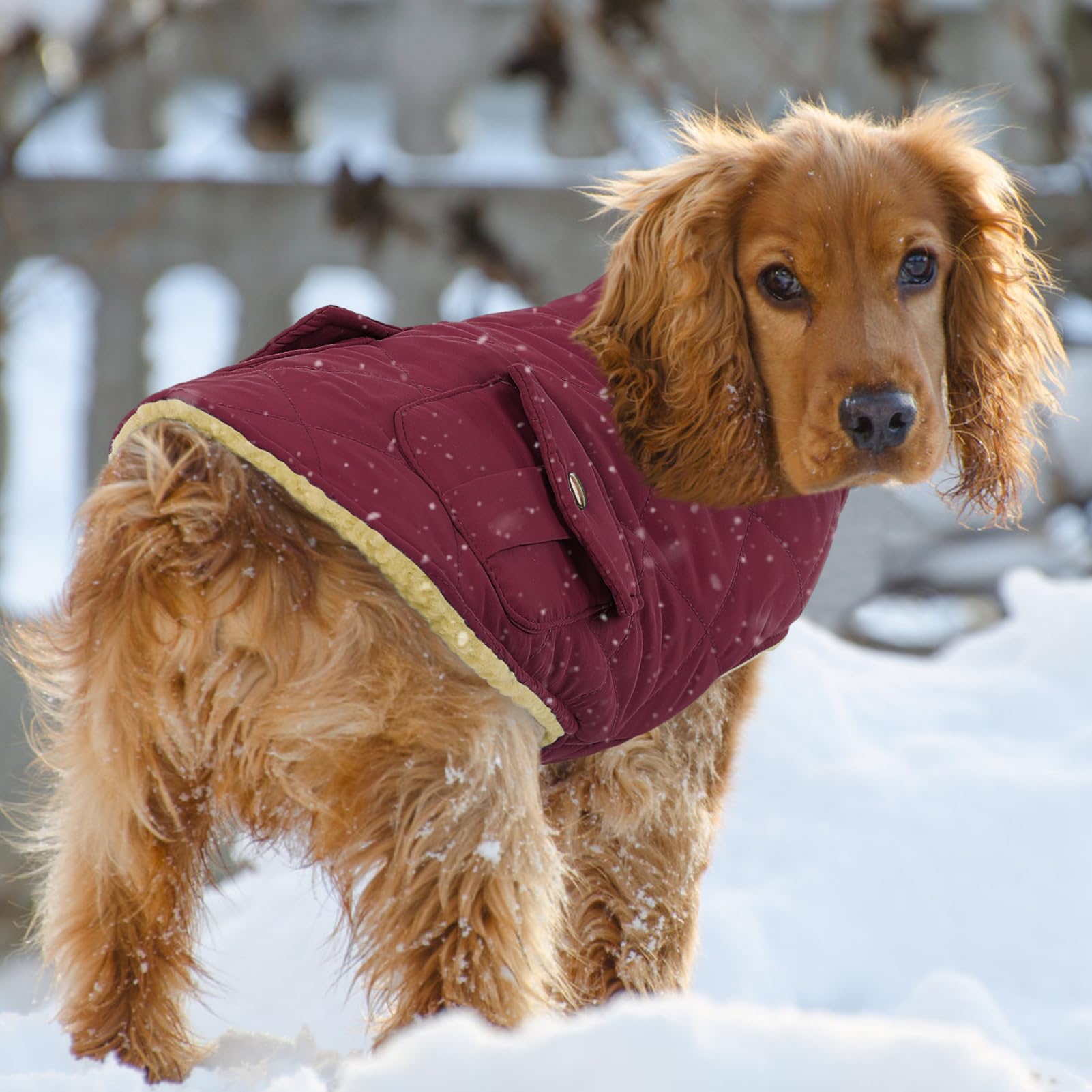 Queenmore dog winter coat size chart helps find the right fit.