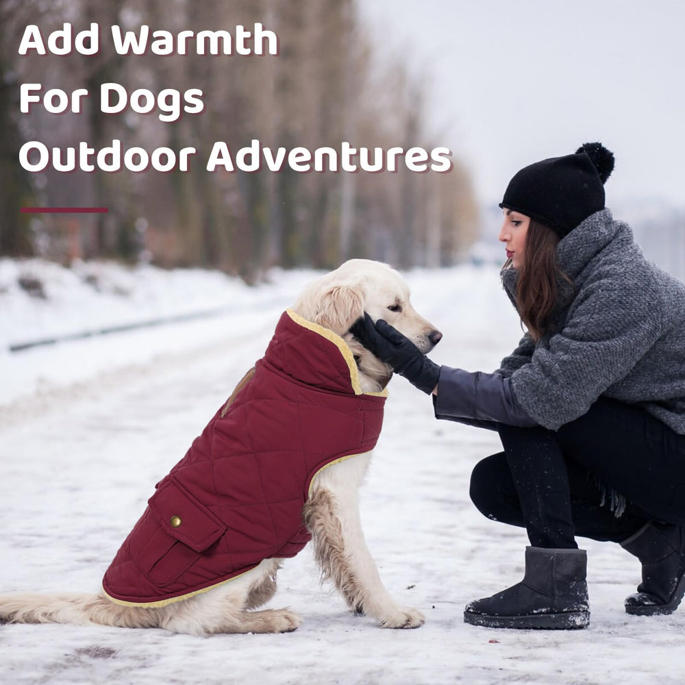 Queenmore dog winter coat size chart helps you pick the right fit.
