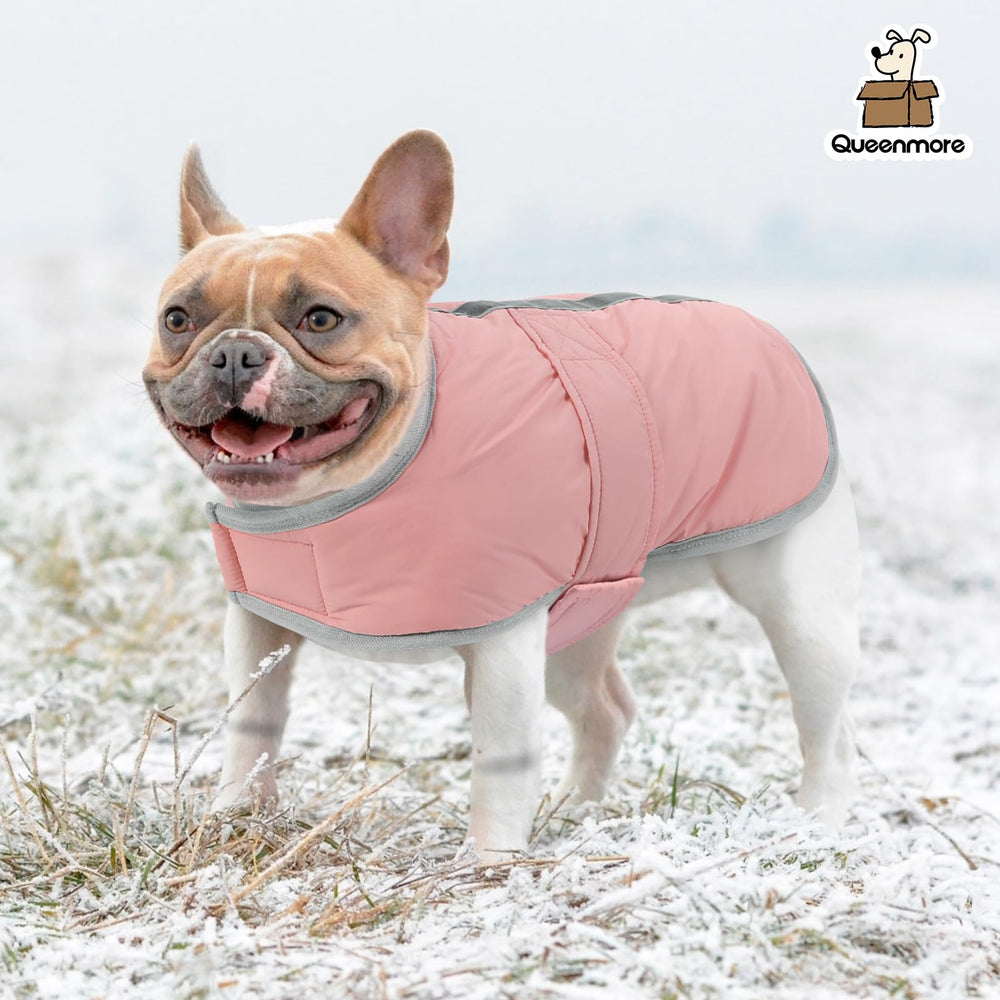 Queenmore dog winter coat size guide image to help choose the right fit