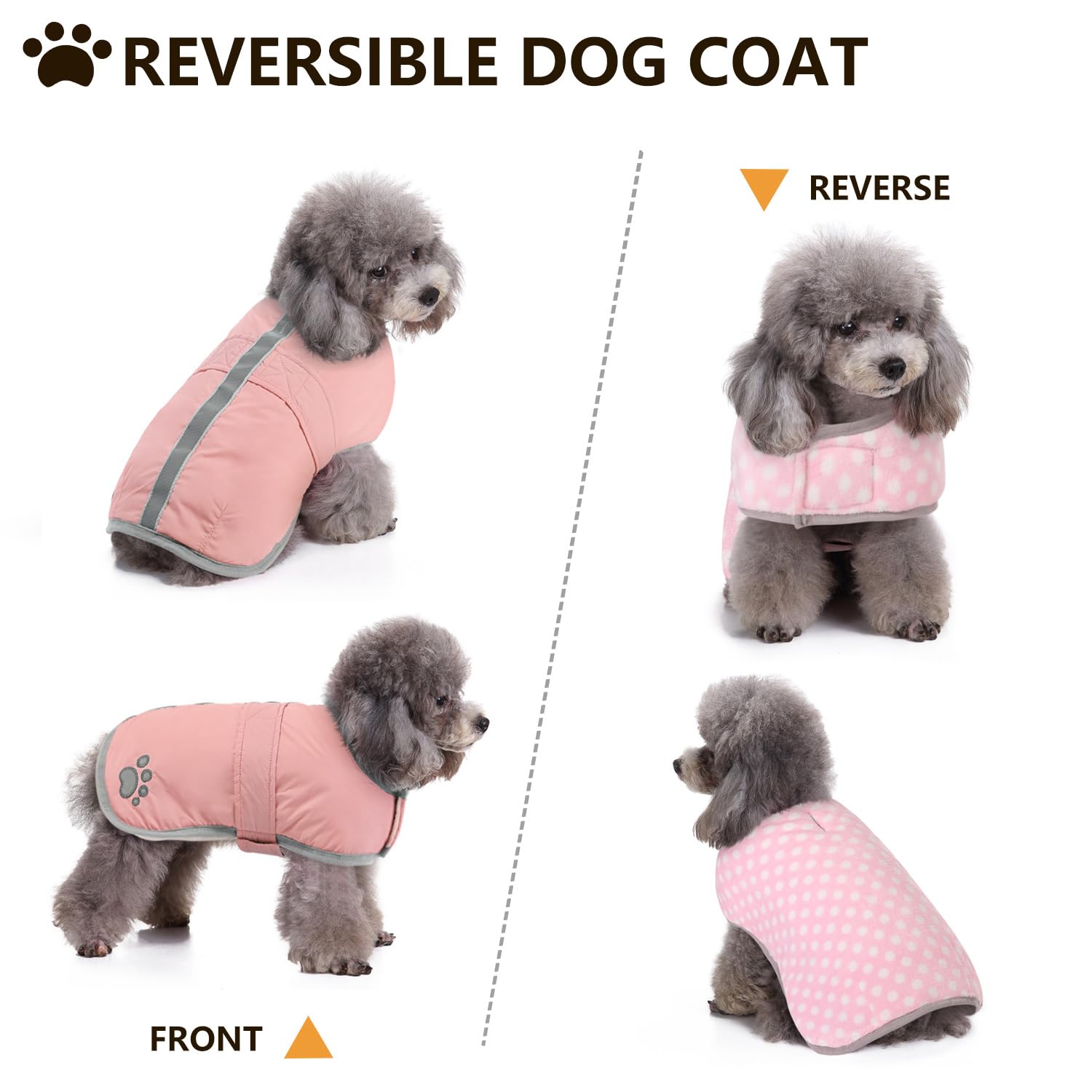 Queenmore dog winter coat waterproof outer texture for dry, drizzly days