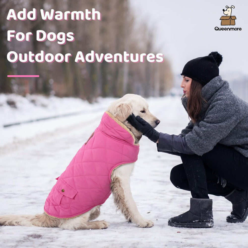 Queenmore dog winter coat windproof fabric demonstrates rugged outer layer for weather