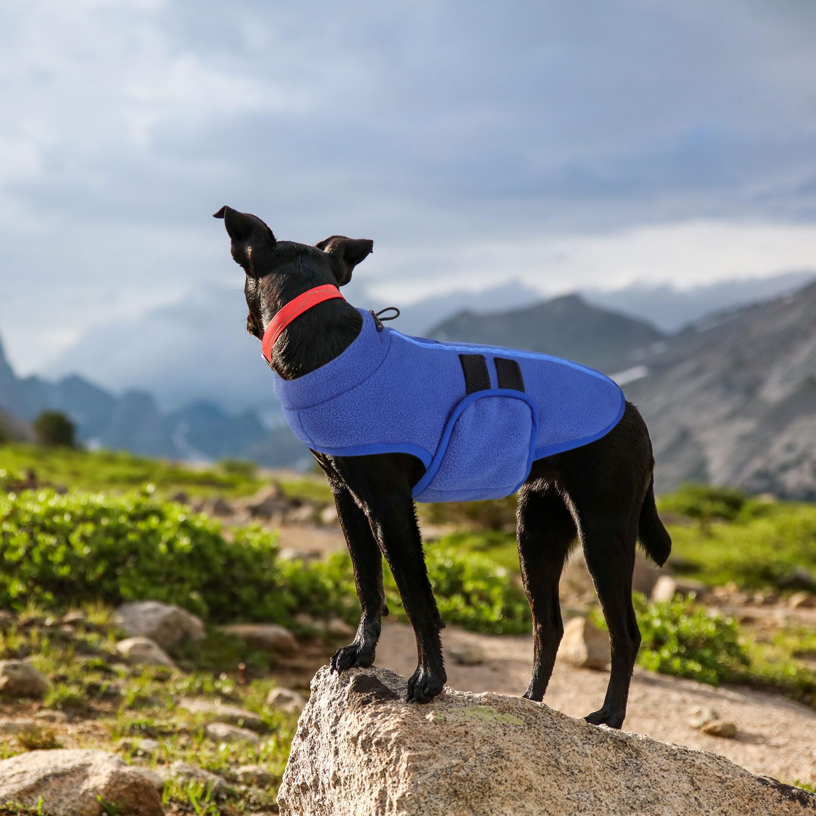 Queenmore easy-care fleece sweater, machine washable and durable.