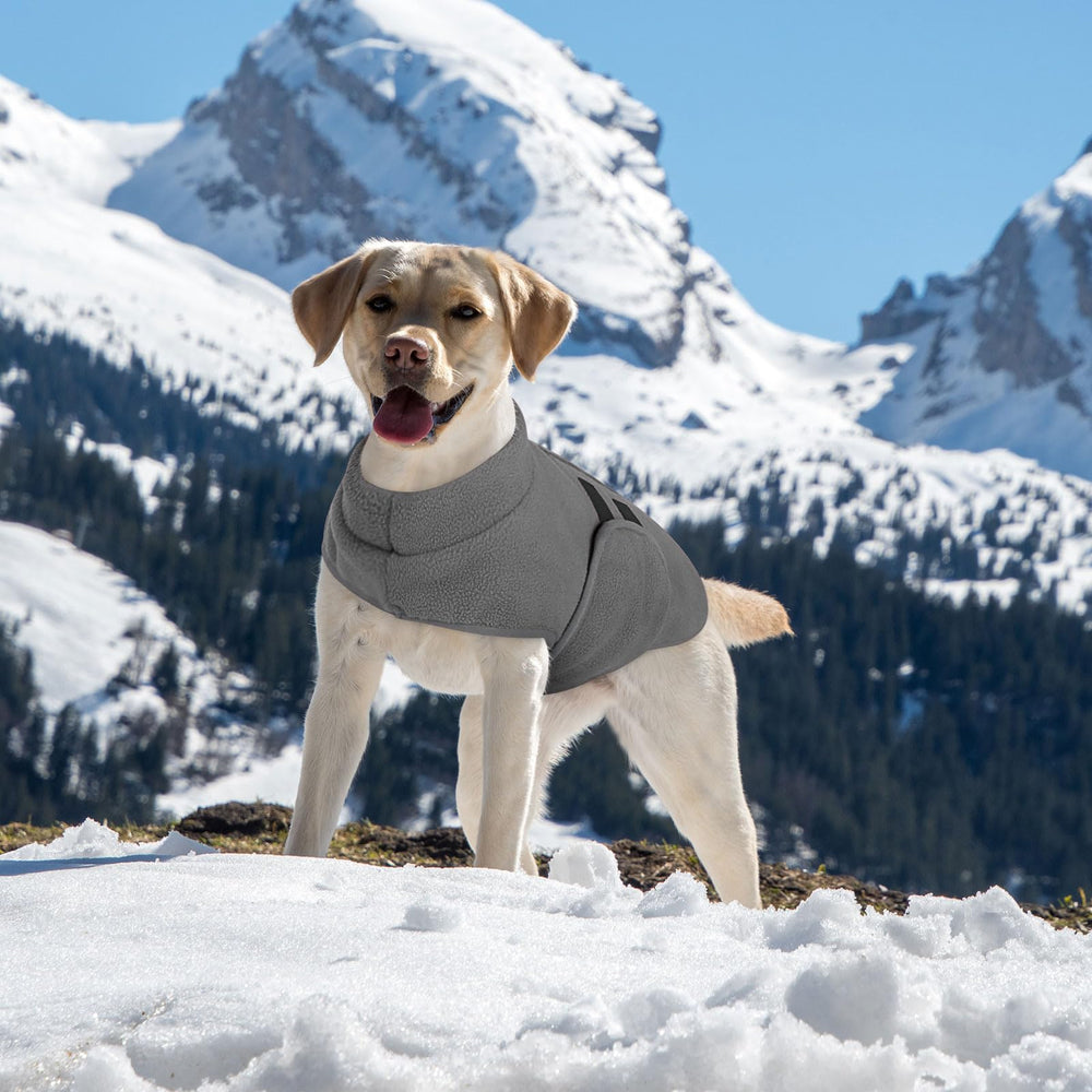 Queenmore easy-care machine-wash design saves time on laundry