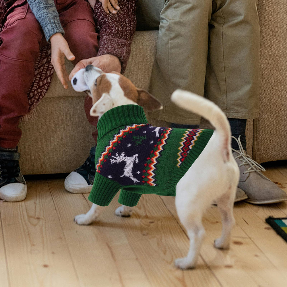 Queenmore elastic-knit fit adapts to small dogs for daily wear