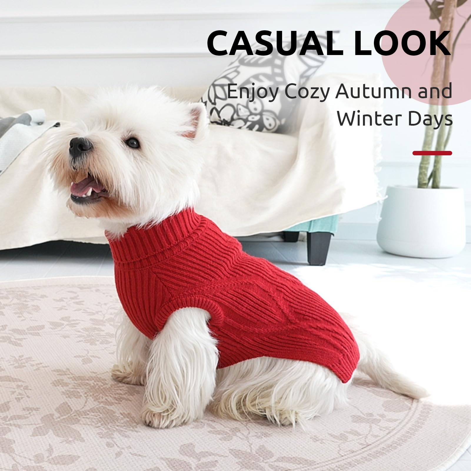 Queenmore holiday-ready Christmas dog sweater adds festive style to walks