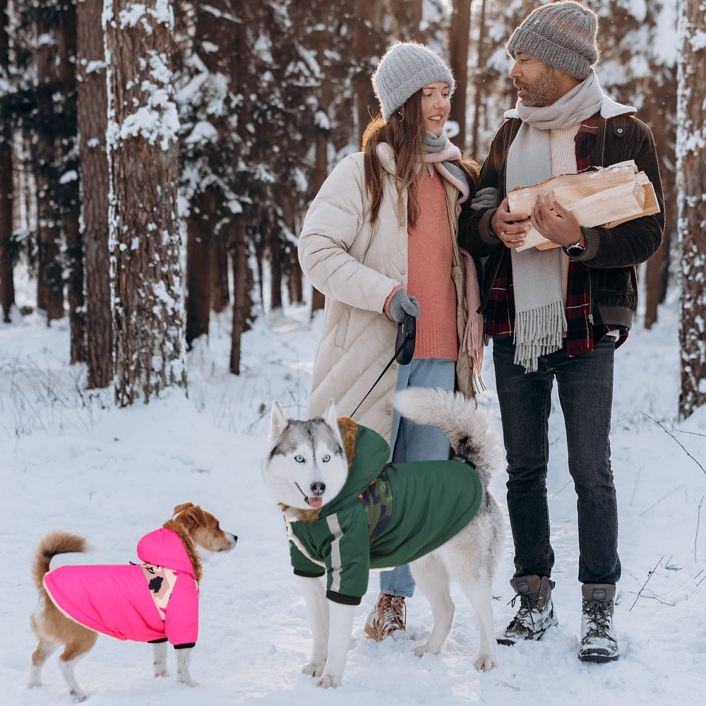 Queenmore winter dog jacket ideal for indoor and outdoor adventures